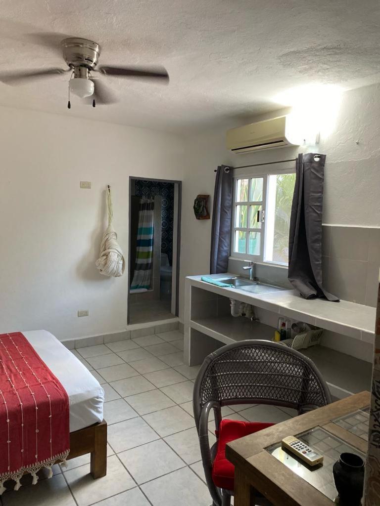 Caribo Cozumel Hotel ห้อง รูปภาพ