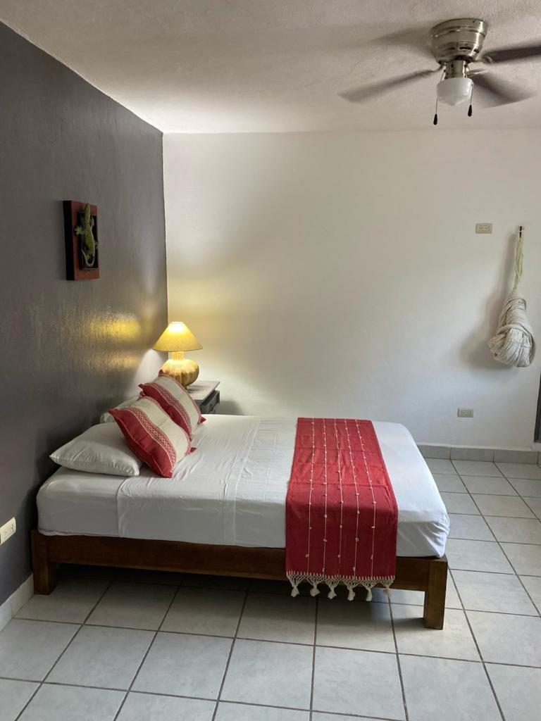 Caribo Cozumel Hotel ห้อง รูปภาพ