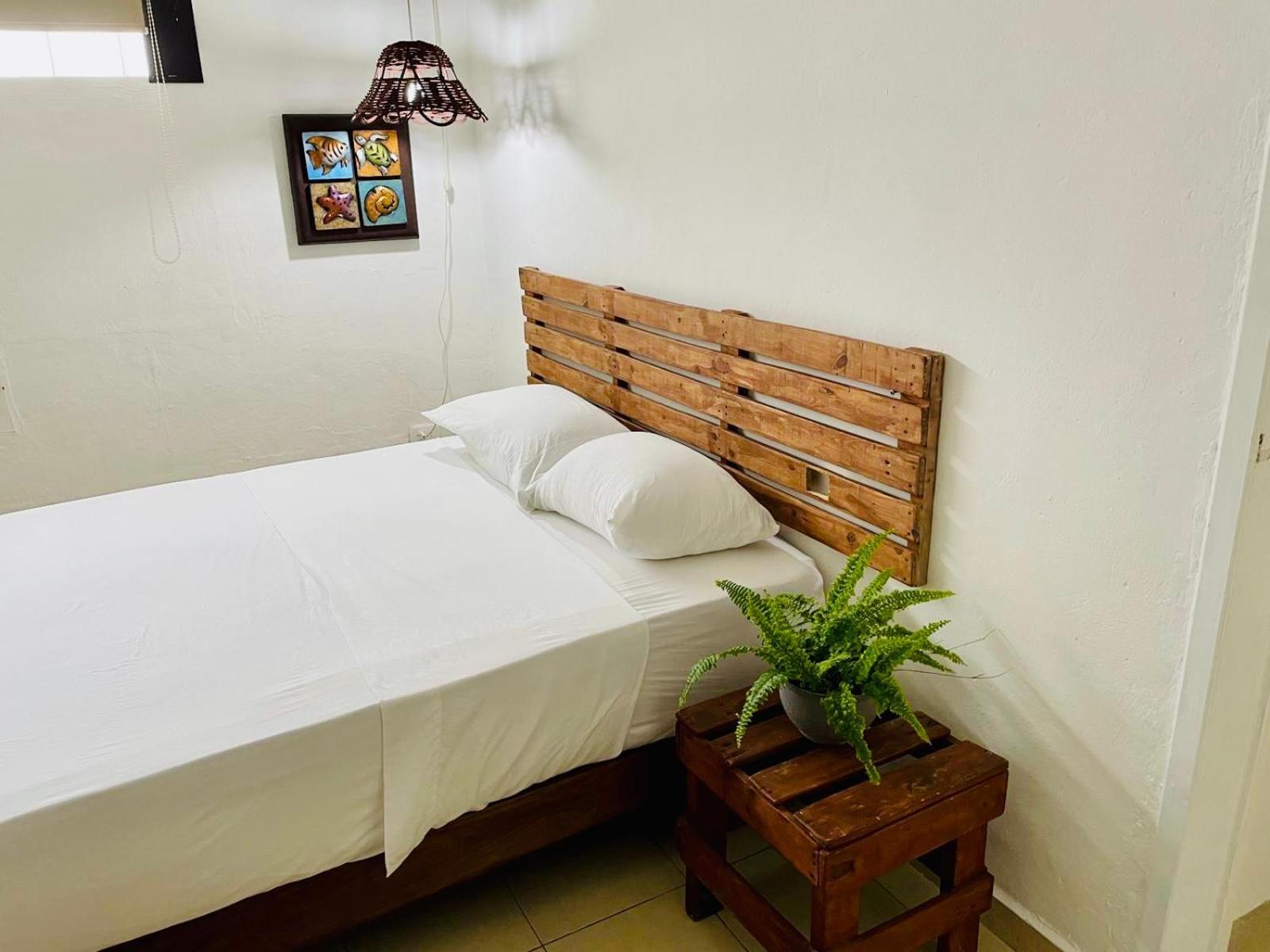 Caribo Cozumel Hotel ภายนอก รูปภาพ